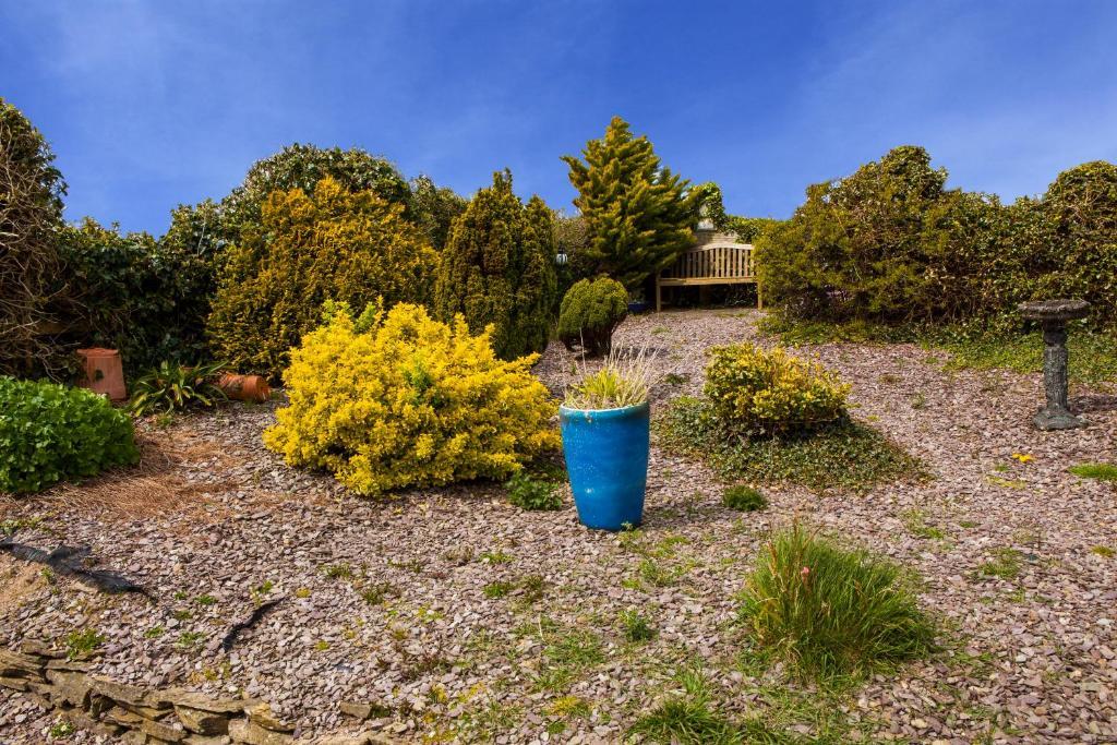 Sunville Bed And Breakfast Ballycotton Room photo